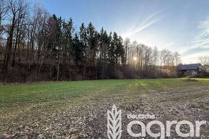 Grundstück in Waldheim 22.900,00 € 28032 m²