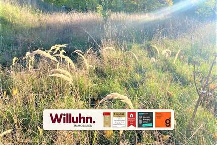 Grundstück zu verkaufen in Schönwölkau 195.000,00 € 1565.3 m²