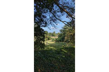 Grundstück zu verkaufen in Oelsig 185.000,00 € 29279 m²