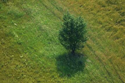 Bad Dürrheim, Baugrundstück in begehrter Lage