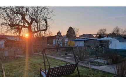 Kleingarten in Zschachwitz abzugeben ca. 230 m² | Schrebergarten - Dresden Blasewitz