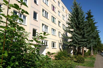 Super Blick und großzügige Raumaufteilung - Zeitz