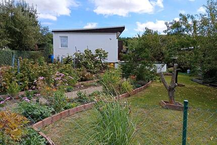 Pachtgarten Nähe Waldhaus Erfurt