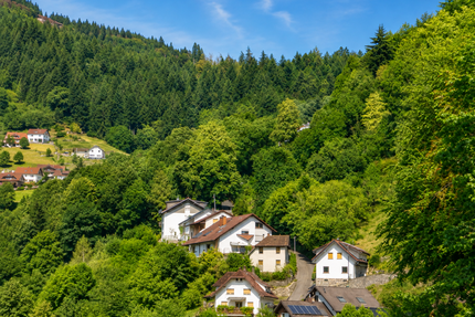 Wohnung zum Kaufen in Bühlertal 195.000,00 € 80 m²