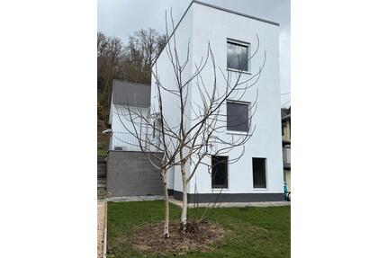 Bezug nach Sanierung: Moderne 2-Zimmer-Küche-Bad-Wohnung in Oberb - Neuwied Block