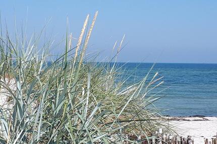 XXL Ferienwohnung Möltenort Kieler Förde Ostsee Frei max 7 P. ab - Heikendorf