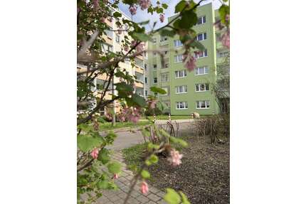 Wohnung zum Kaufen in Rostock 169.500,00 € 67 m²