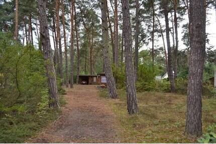 Traumhaftes Waldgrundstück in Michendorf