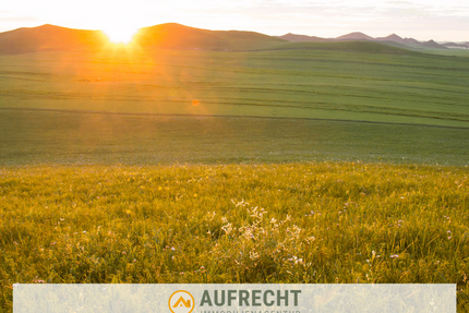 Grundstück in Jetzendorf 32.500,00 € 4631 m²