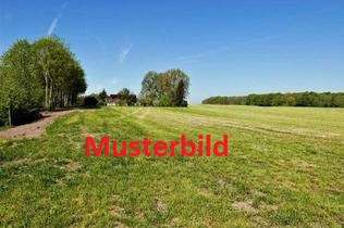Grundstück zu verkaufen in Frankfurt 610.000,00 € 701 m²