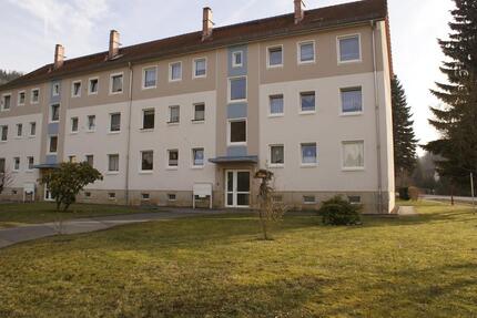 Modernisierte 3-Raum-Wohnung im Erdgeschoss nahe Glashütte