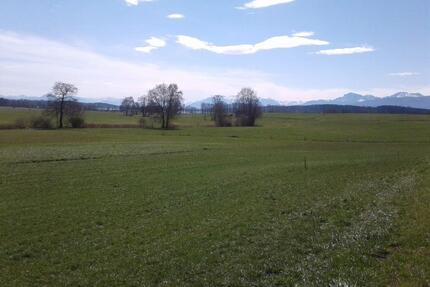 Vermiete Baugrundstück Tettenhausen Modulhaus Tinyhouse Waging - Waging am See Fisching