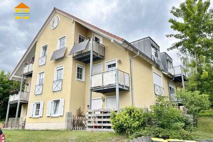Wohnung zum Mieten in Burkhardtsdorf 225,00 € 36.8 m²