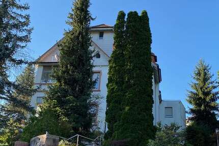 Wohnung zum Mieten in Baden-Baden 350,00 € 19 m²