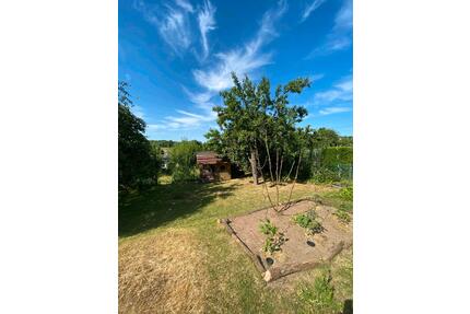 Kleingarten 500m² Pachtgarten KGV Garten - Erfurt Hochheim