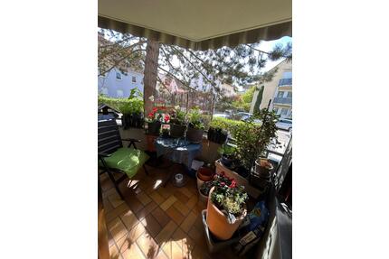 Schöne 2-Zimmer-Wohnung mit Balkon Stellplatz Keller - Bad Mergentheim