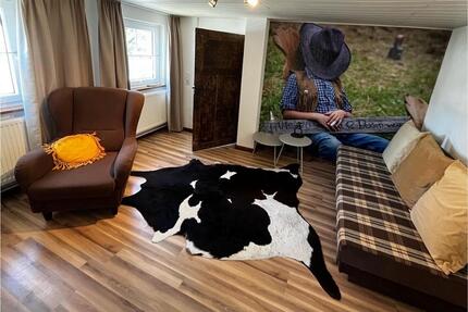 Ferienhaus Buckaroo RANCHO EL ROSAL Monteurzimmer Urlaub mit Hund - Bad Mergentheim