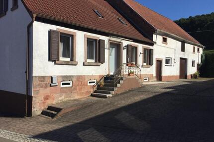 Charmantes Bauernhaus mit Scheune - Steinwenden