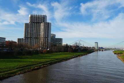 Wohnung zum Mieten in Mannheim 550,00 € 37 m²