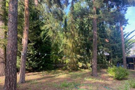 Grundstück mit großem Baufeld für eine Wohnfläche bis zu ca. 251 m² Wohnfläche - Kleinmachnow