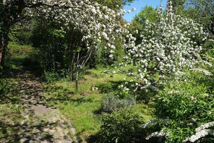 Grundstück zu verkaufen in Panketal 249.000,00 € 698 m²