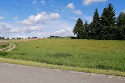 Grundstück in Schrobenhausen Sommerau 69.000,00 € 4486 m² - Schrobenhausen / Sommerau