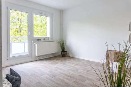 Wohnung zum Mieten in Chemnitz 245,00 € 38.41 m²