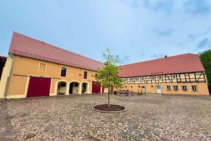 Haus zum Kaufen in Riesa 1.450.000,00 € 370 m²