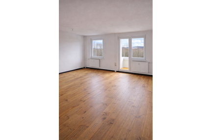 Wohnung zum Mieten in Reichenbach 299,00 € 60 m²