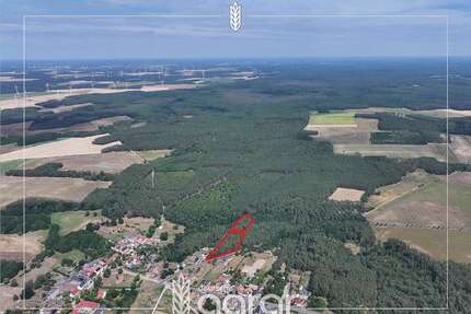 Grundstück zu verkaufen in Niemegk Hohenwerbig 9.000,00 € 11441 m² - Niemegk / Hohenwerbig