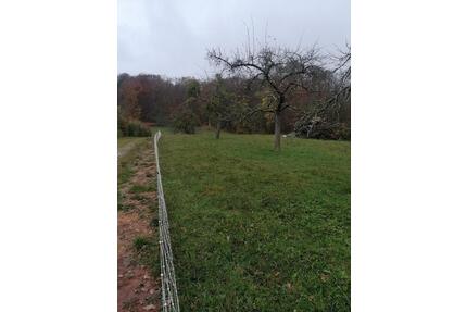 Landwirtschaftliches Grundstück in 71111 Waldenbuch