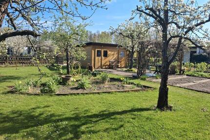 Pachtgarten in Cottbus Sachsendorf...sofort abzugeben