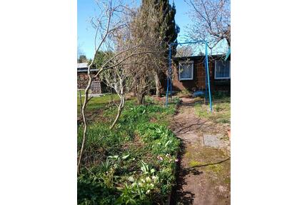 Pachtgarten Burgbreite Süd abzugeben - Wernigerode