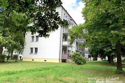 Wohnung zum Mieten in Chemnitz 270,00 € 44.48 m²