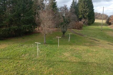 3ZKB Wohnung mit Balkon Oberthal - Nohfelden