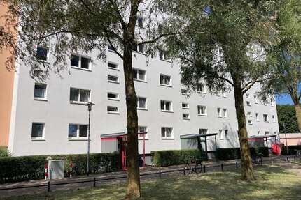 Wohnung zum Mieten in Stralsund 240,00 € 32.7 m²