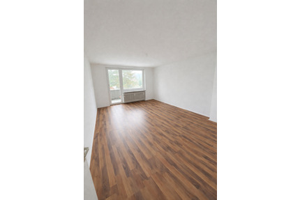 Helle 2-Zimmer Wohnung mit Balkon (Kreideberg) Lüneburg
