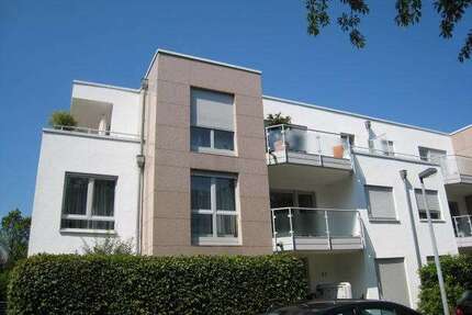 Wohnung zum Mieten in Bonn 700,00 € 40 m²