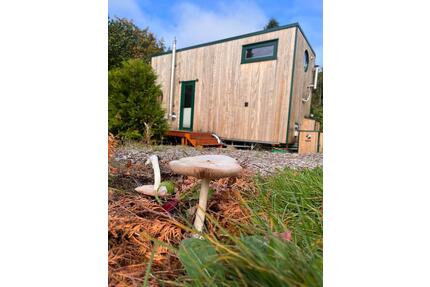 TinyHouse hohe Qualität, exklusives Design, gemütlich, mobil - Wald-Michelbach