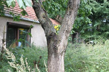 Haus mit Scheune - 1.500,00&nbsp;EUR Kaltmiete, ca.&nbsp; 150,00&nbsp;m&sup2; in Karstädt (PLZ: 19357)