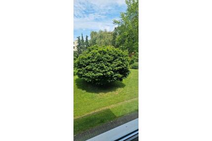 4-Zimmer-Wohnung mit schönem Sonnenbalkon - Braunschweig Timmerlah-Geitelde-Stiddien