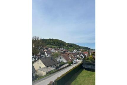 Möbliertes 2-Zimmerappartement mit traumhafter Terrasse zum Komplettpreis - Wildberg