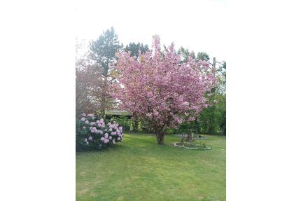 Frisch renovierte Dachgeschoßwohnung mit Fußbodenheizung & Balkon - Uetersen