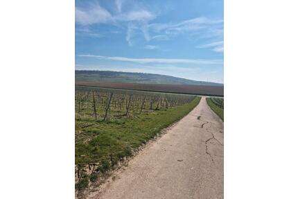 Zimmer in Bingen 300 € kalt - 480,00&nbsp;EUR Kaltmiete, ca.&nbsp; 17,00&nbsp;m&sup2; in Bingen am Rhein (PLZ: 55411)