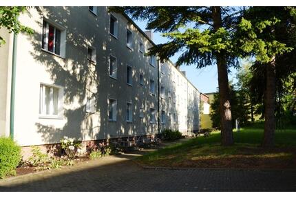 Sanierte 3 Raumwohnung. Küche und Bad mit Fenster! - Prenzlau