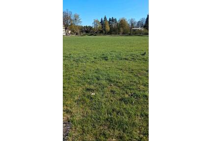 Grünland in Blievenstorf - 100,00&nbsp;EUR Kaltmiete, ca.&nbsp; 0,00&nbsp;m&sup2; in Grabow (PLZ: 19300)