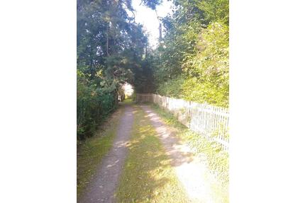 großes Grundstück mit kleinem Haus - Burgstädt