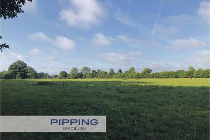 Ideal für Investoren: 