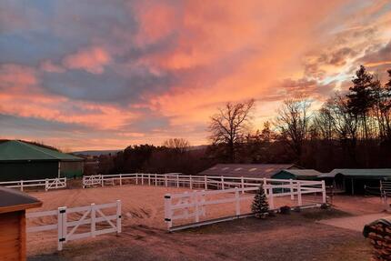 Verkaufe Pferdehof - 780.000,00&nbsp;EUR Kaufpreis, ca.&nbsp; 110,00&nbsp;m&sup2; in Bindlach (PLZ: 95463)