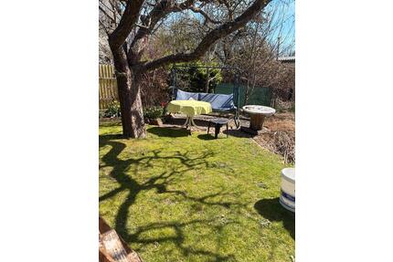 Garten im Kleingartenverein Erlenhof e.V. - Eisenhüttenstadt